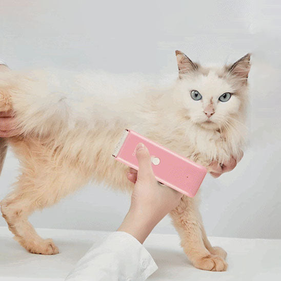 😸Tondeuse électrique silencieuse Clipper™ | Chat😸