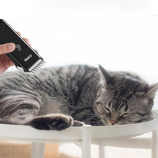 😸Tondeuse électrique silencieuse Clipper™ | Chat😸