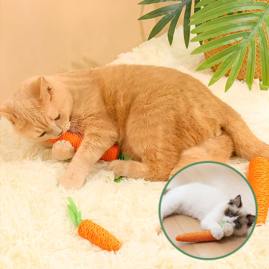 baton-a-macher-carrotte-pour-chat