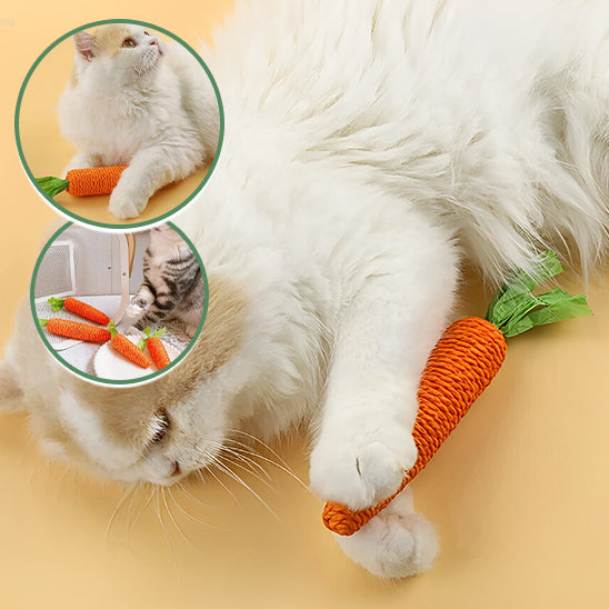 baton-jouet-carrotte-pour-chat