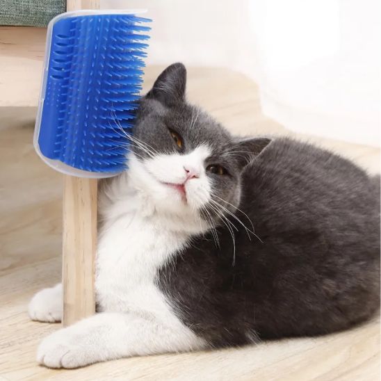 brosse-pour-chat
