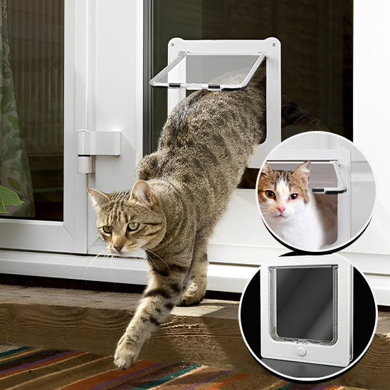 chatière pour chat