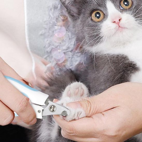 coupe-griffe-chat