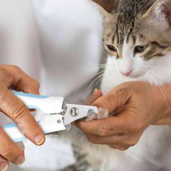 coupe-griffe-chat