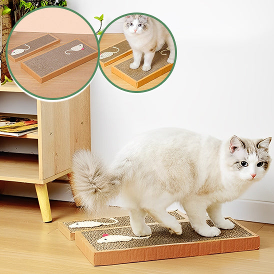 grattoit-pour-chat-carton