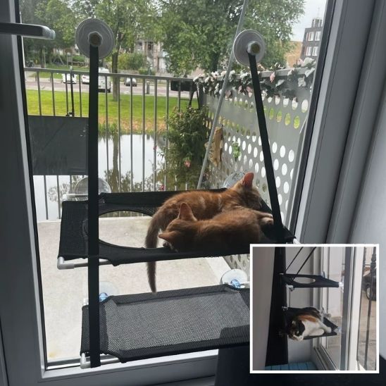 hamac-pour-chat