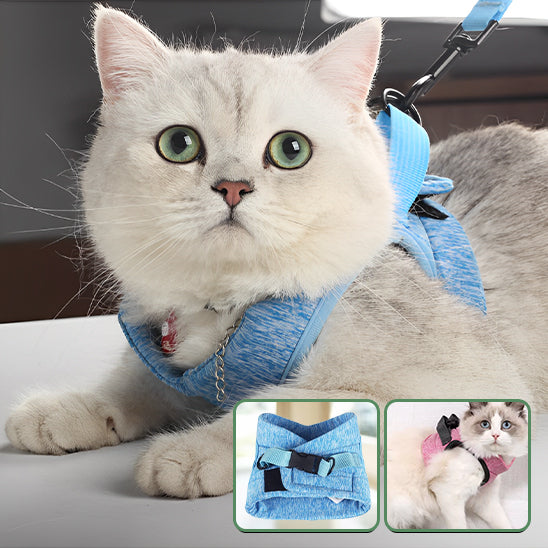 harnais pour chat