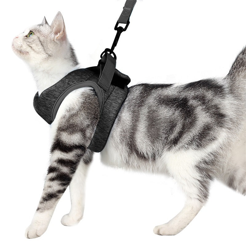 Harnais pour chaton OnTheGoâą