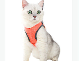 Harnais pour chat léger