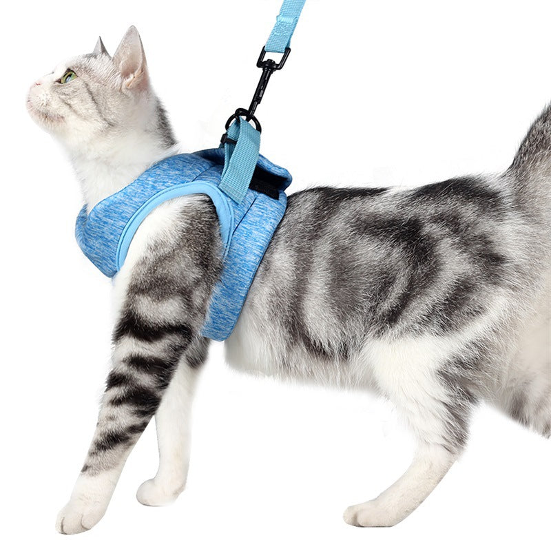 Harnais pour chaton OnTheGoâą