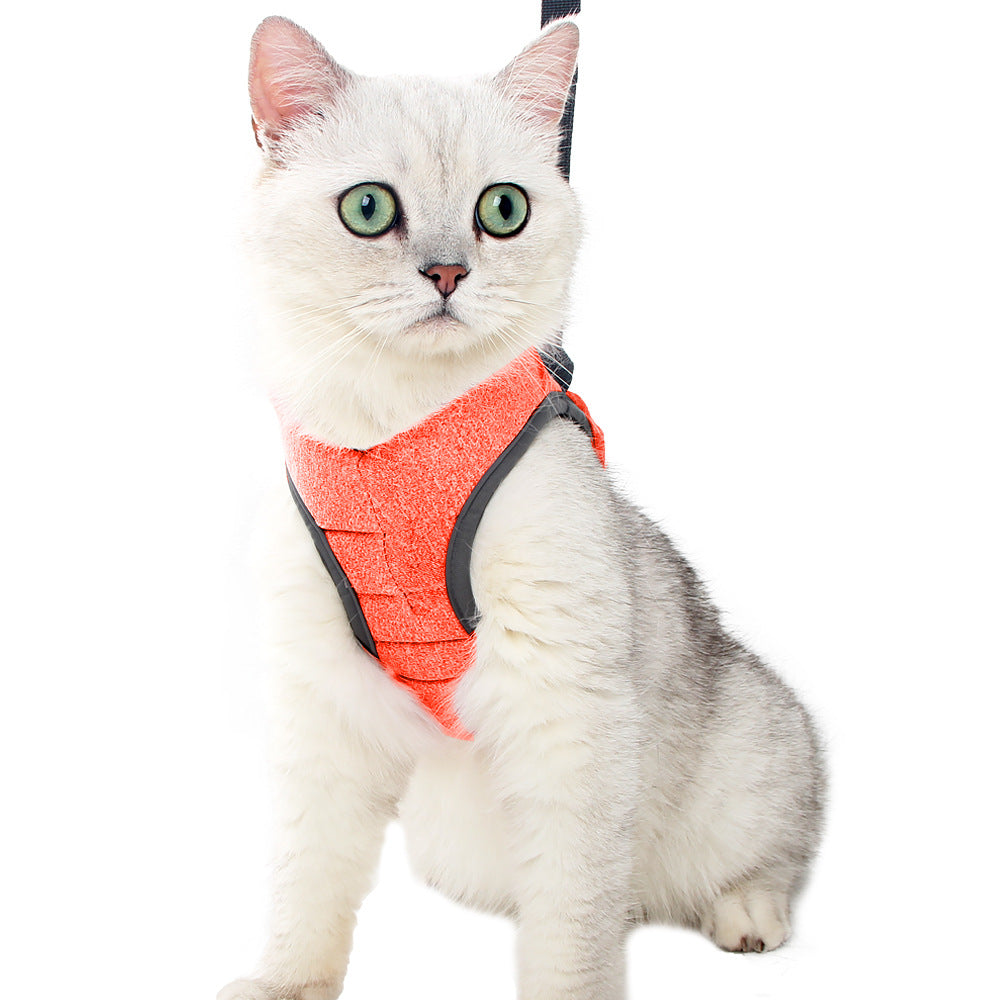 Harnais pour chaton OnTheGoâą