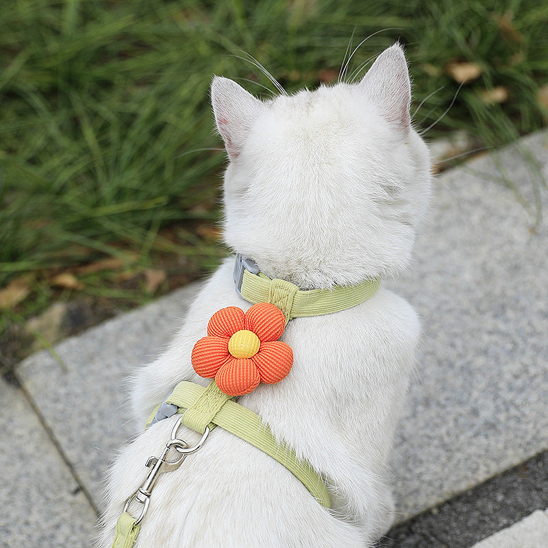 Harnais et laisse JolieFleur™ | Harnais pour chat