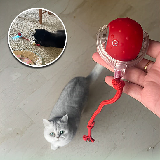 Jeu Chat - CatToysBall™