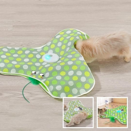 Jeu interactif Hide&Seekâą | Jouet pour chat