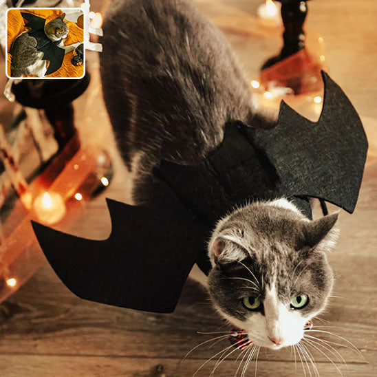 Déguisement Batchat