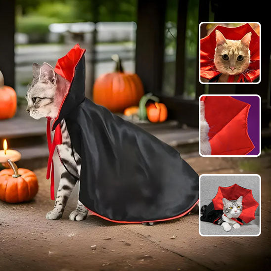 đ§DĂ©guisement Dracuchatâą