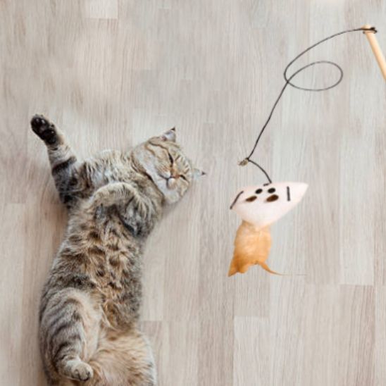 Bâton CatchMe™ | Jouet pour chat