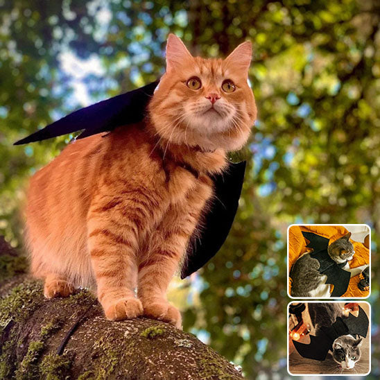 Déguisement Batchat
