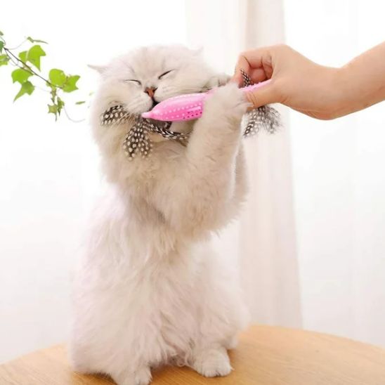 Jouet Interactif Chat - CatnipToys™