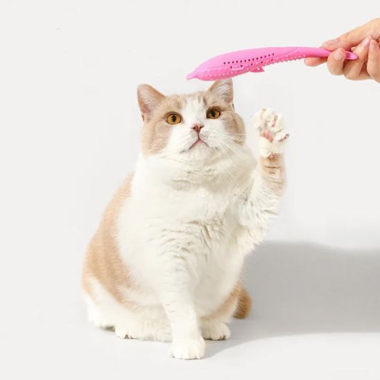 Jouet Interactif Chat - CatnipToys™
