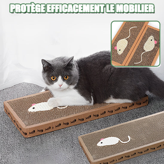 Grattoir pour chat en carton