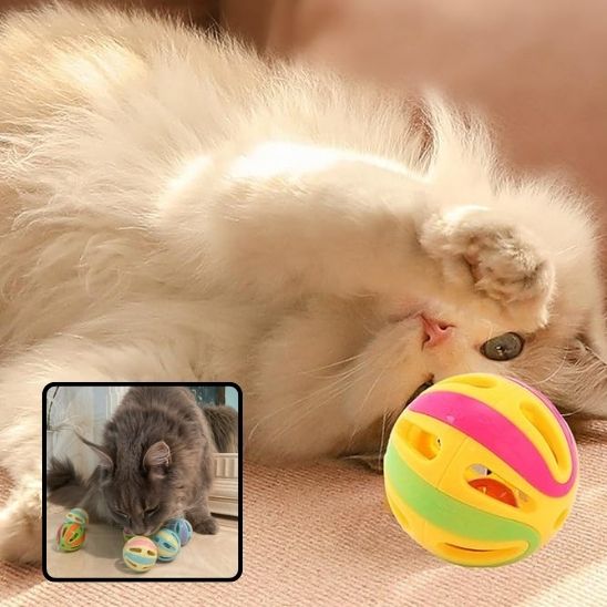 Balle en plastique avec cloche pour chat