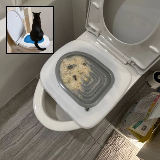 Siège de toilette pour chat
