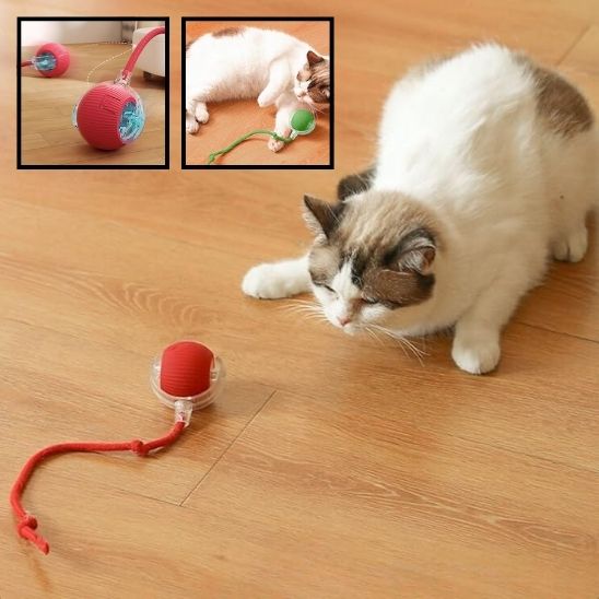Jeu Chat - CatToysBall™