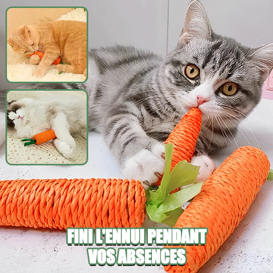 jouet-a-gruger-pour-chat