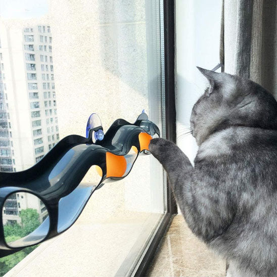 Jouet à ventouse avec balle™ | Jouet pour chat