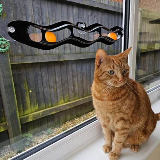 Jouet à ventouse avec balle™ | Jouet pour chat
