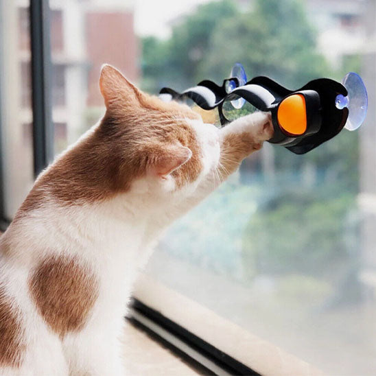 Jouet à ventouse avec balle™ | Jouet pour chat