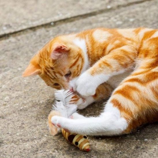 souris-en-sisal