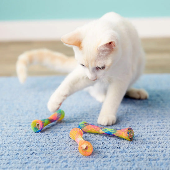 jouet tube pour chat