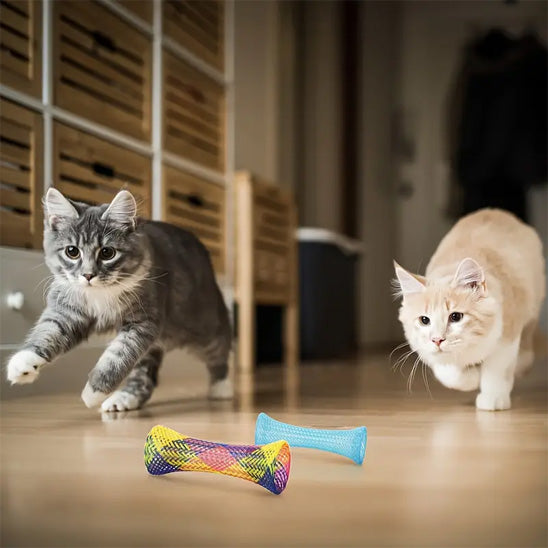 jouet tube pour chat