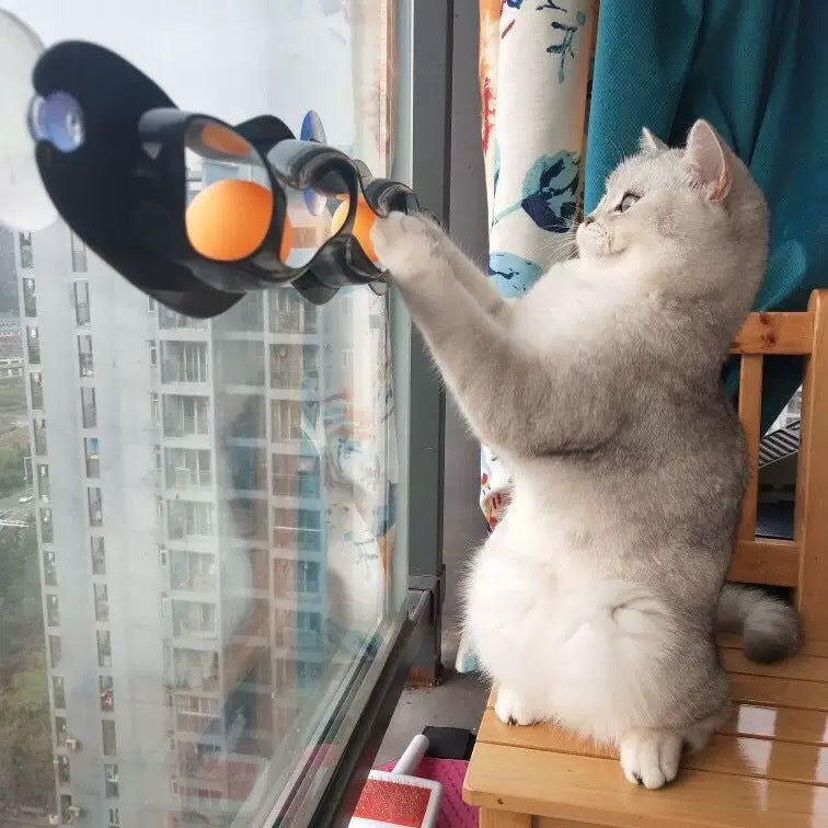 Jouet à ventouse avec balle™ | Jouet pour chat