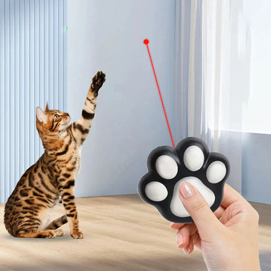 Laser FunFouâą | Laser pour chat
