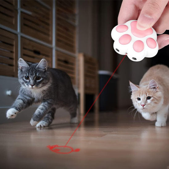 Laser FunFouâą | Laser pour chat