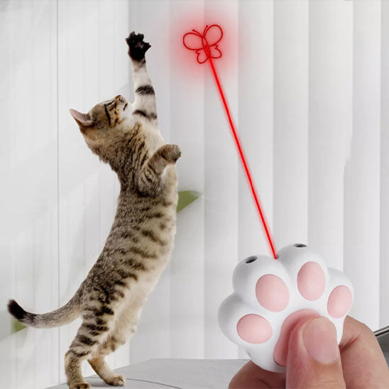 Laser FunFouâą | Laser pour chat