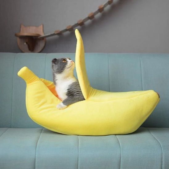 lit-rigolo-banane-pour chat