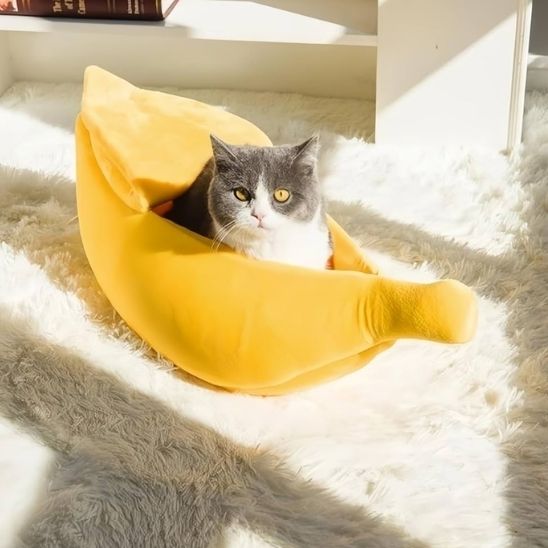 lit-rigolo-pour-chat