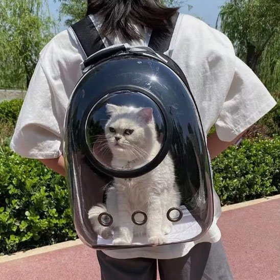 Sac de transport Chat | Voyagez Confort