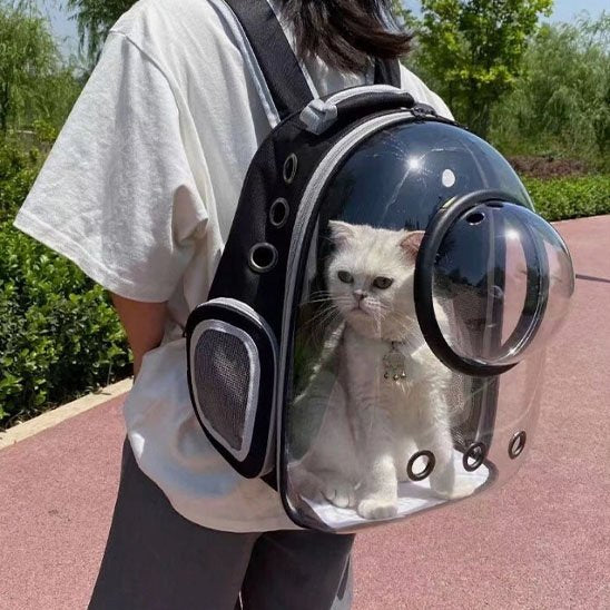 Sac de transport Chat | Voyagez Confort