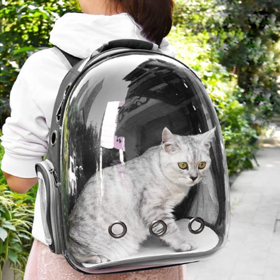 Sac de transport Chat | Voyagez Confort
