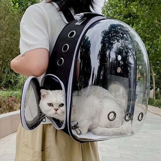 Sac de transport Chat | Voyagez Confort