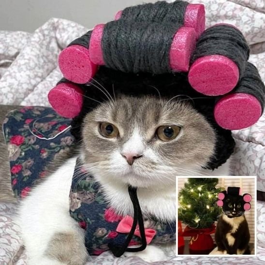 Déguisement pour chat | Bigoudis Fun