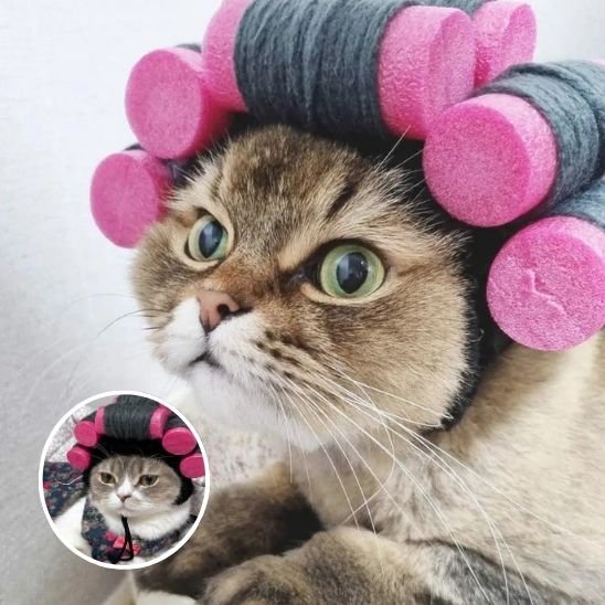 Déguisement pour chat | Bigoudis Fun