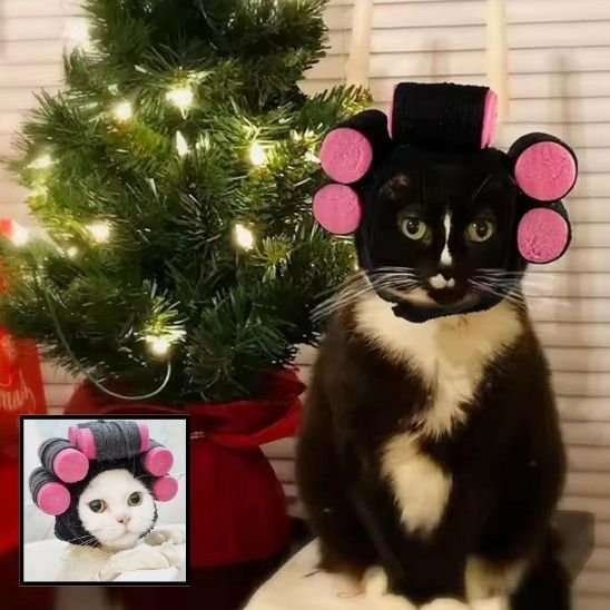 Déguisement pour chat | Bigoudis Fun