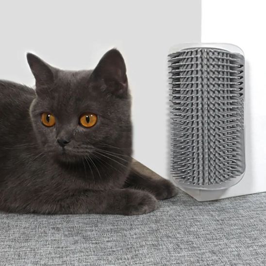 brosse-pour-chat