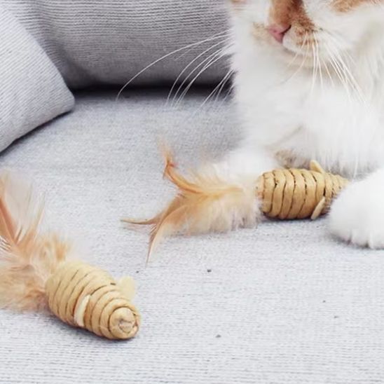 souris-en-sisal